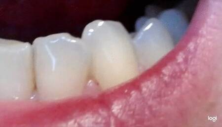 17 minutes my canines down side to cam no sound mp4