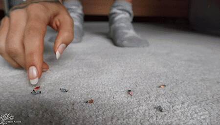 Summoning and Shrinking ex boyfriends to Vore