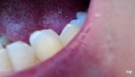 18 minutes of canines to cam no sound mp4