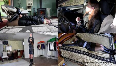 The Lone Investigator (WMV 1080p) - Rachel Adams