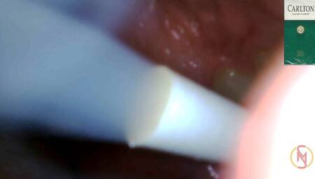 CARLTON 100s menthol inside