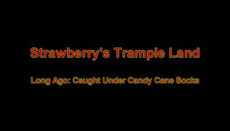Long Ago: Caught Under Candy Cane Socks