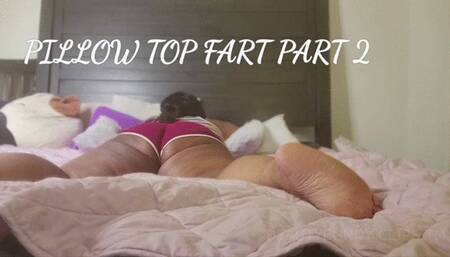 PILLOW TOP FARTS PART 2