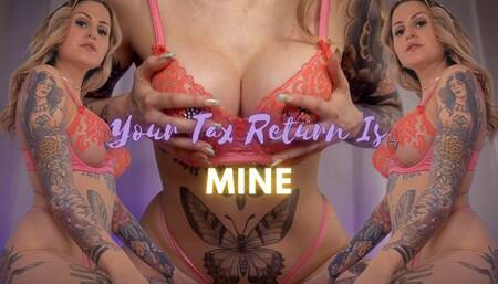 Your Tax Return Is Mine