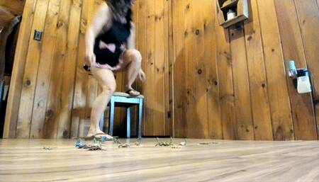 invasion of pest flipflop giantess