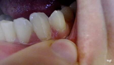 15 minutes of canines to cam mp4