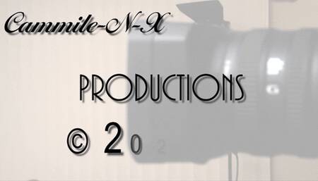 Vidiset 261 Sticky at the Office 2