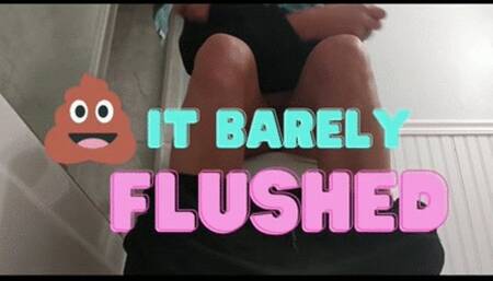 It Barely Flushed!!