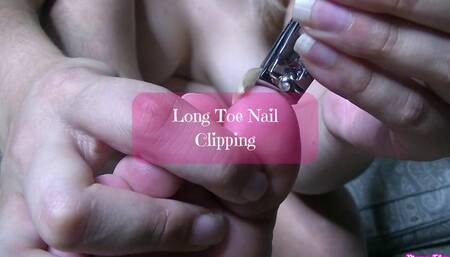 Long Toe Nail Clipping