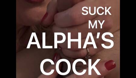 Suck My Alpha's Cock JOI