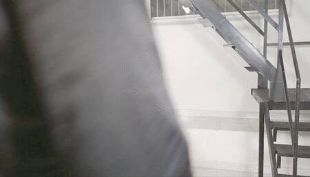 Airport check for Lilli