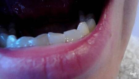 7 minutes canines down side no sound mp4