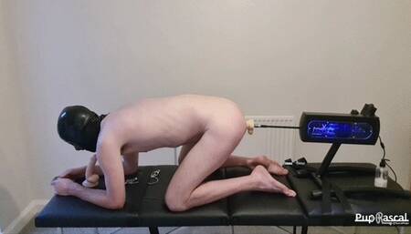 Miss Kaz B Uses Her Fucking Machine to Train Her Slaves Hole
