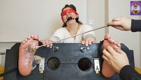 LONG PUNISHMENT FOR ROSA