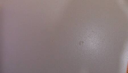 Ass Worship: Taste The Reignbow