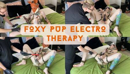 Fox Pup Electro Therapy