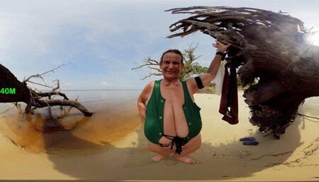 Driftwood Oak Top Change (360 VR)