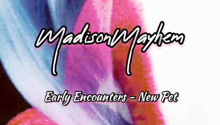 Early Human Ashtray Encounter POV