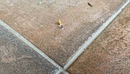 Unaware Giantess Sweeping and Vacuuming Your Friends