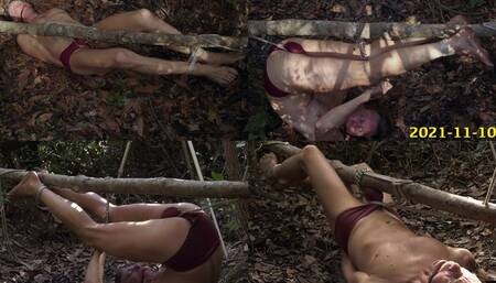 Bound on the Ground, 2021-11-10