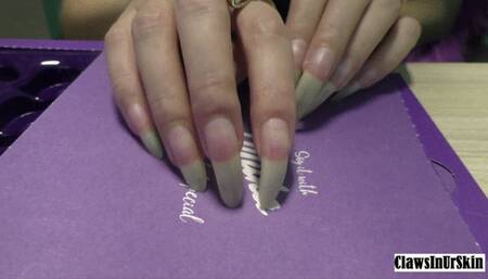 Scratching box with long claws