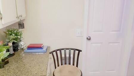 Secretarial Seduction