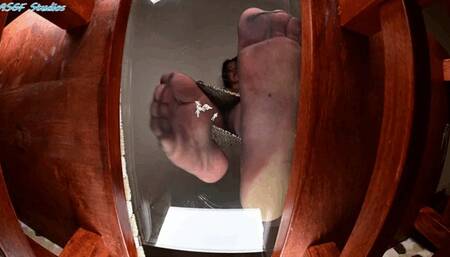 Exotica big fat soles glass crush! Part 2 - MOV