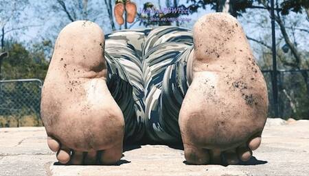 Dirty Soles Camo Leggings Pt 2