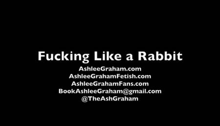 Magic Bunny Masturbation SD