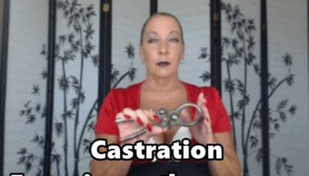 Castration Experience the Process Goddess Natasha (XHD) WMV