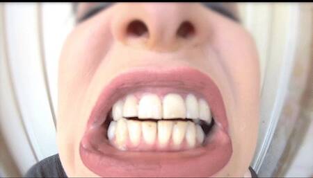 My mouth tour internal