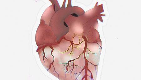Stethoscope recording, heart sounds, digesting sounds in less intensity