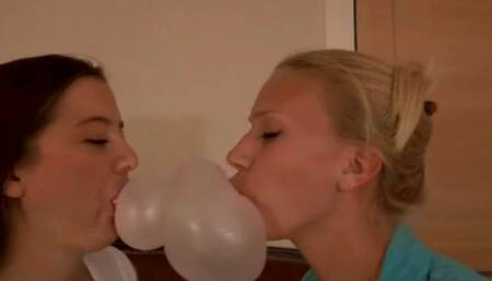 Bubble Gum CatBall CatFight 2   1 of 6 wmv