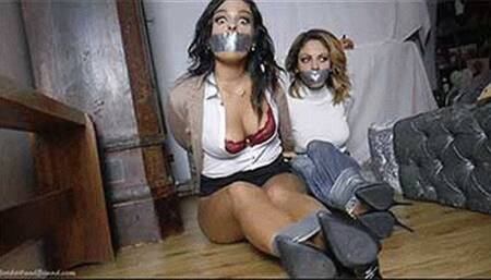 Latina & Alba in: Snooping Beauties in Danger & the Secrets of Crooked Way Manor! (WMV)