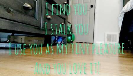 Stalking tiny pleasure