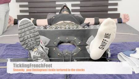 Sneacky_pup first tickle session in my stocks (mobile)