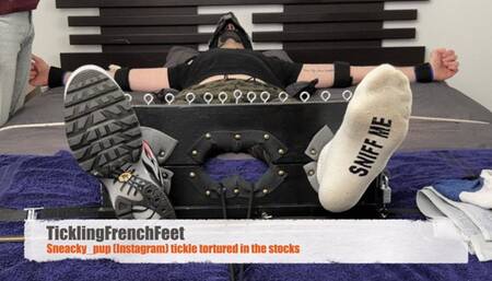 Sneacky_pup first tickle session in my stocks (full HD)