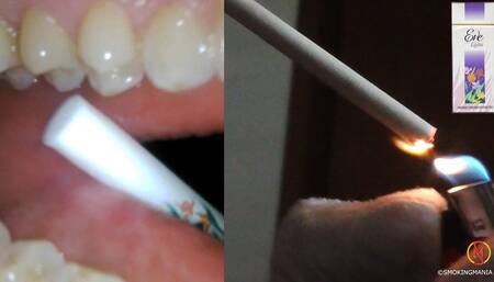 EVE 120s vintage inside out