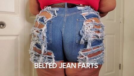 BELTED JEAN FARTS