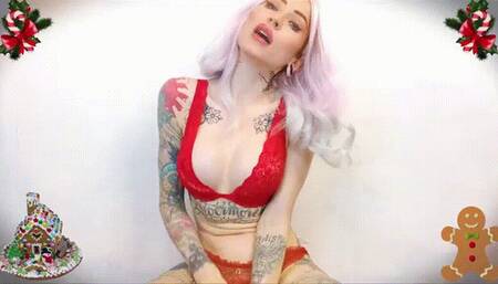 The big, fat Christmas feeder task ! - FEEDER, WEIGHT GAIN, CHRISTMAS