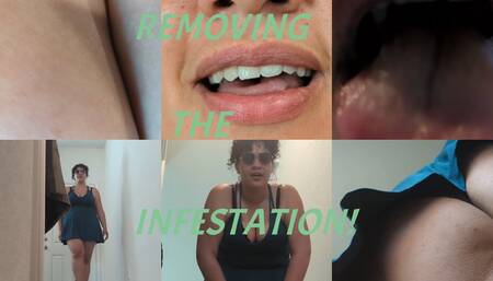 Removing a Tiny Infestation
