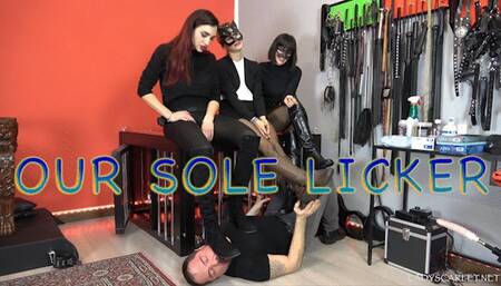 Lady Scarlet - Our sole licker (mobile)
