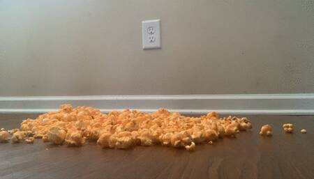 Popcorn and Toes with a Bug eye view