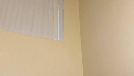 Belly Jiggle and On All Fours Shaking