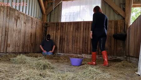 Head pressed into the dirty juice