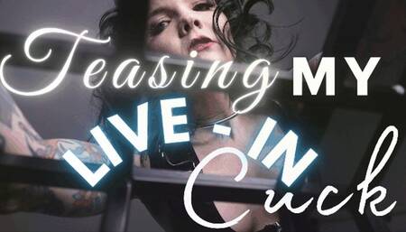 Teasing My Live-In Cuck