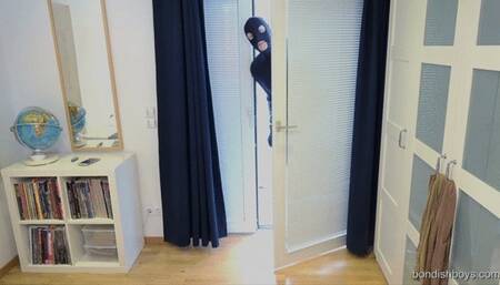 LADY LARISSA AND THE PANTYHOSE BURGLAR