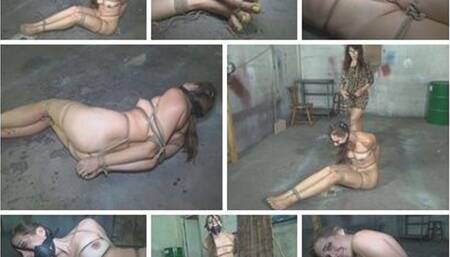 DRIVEN TO TEARS SADIE HOLMES TAPS OUT_MP41