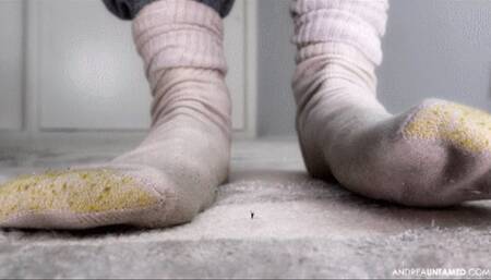 Too Puny For Tryouts (720p)