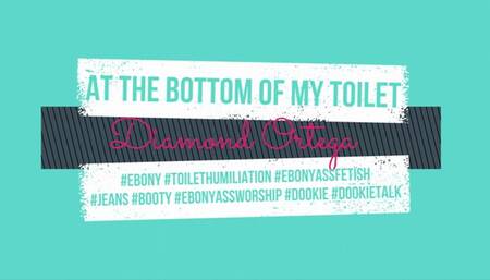 At The Bottom Of My Toilet